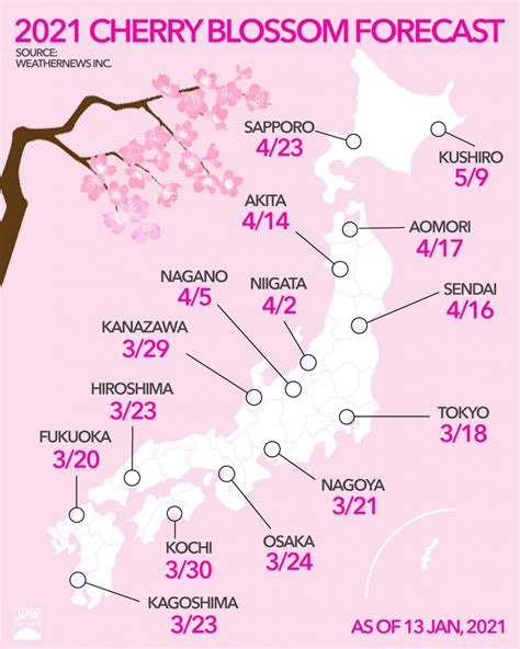 Sakura Forecast 2021: Cherry Blossoms Come to Japan Earlier Than Usual ...