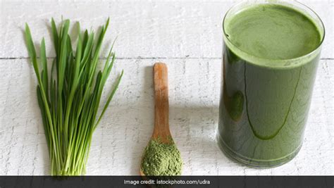 9 Reasons Why You Should Drink Barley Grass Juice - Beattransit