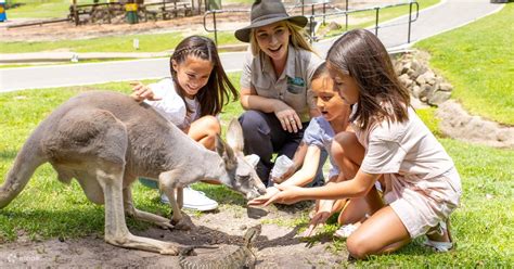 Currumbin Wildlife Sanctuary - Klook Hong Kong