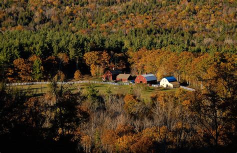 Maine fall colors Photograph by Gary Cloud - Fine Art America