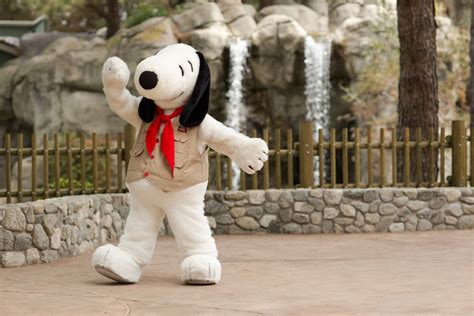 Knott's Berry Farm Unveils Exciting 2024 Season Pass: Celebrating Snoopy's Birthday and a Year ...