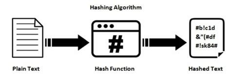 What Is Hashing Algorithm & How Does It Work? - Helenix