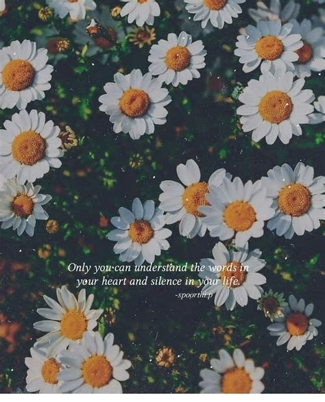 Details 300 quotes with flower background - Abzlocal.mx