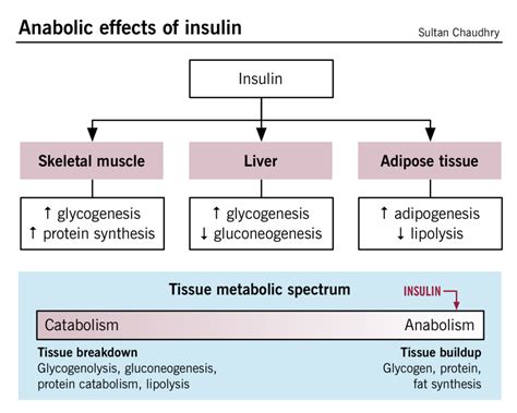 Hyperglycemic emergencies: diabetic ketoacidosis and hyperosmolar ...