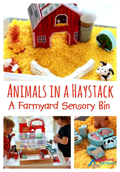 Farm Animals Seek and Find Sensory Bin