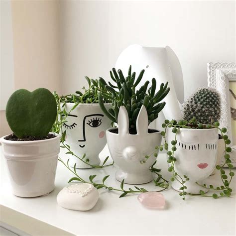 Indoor Plant Pots - How to Pick a Pot for Your Plant and Your Home - My Tasteful Space