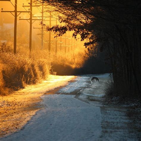 Biking & Hiking Trails in Summit County | Hiking trails, Bike trails ...