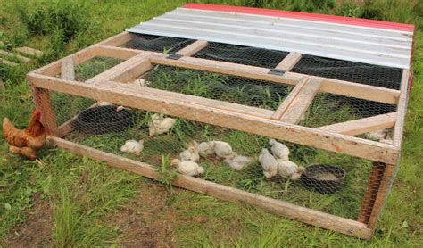 DIY Chicken Tractor Plans - Natural Living Homestead