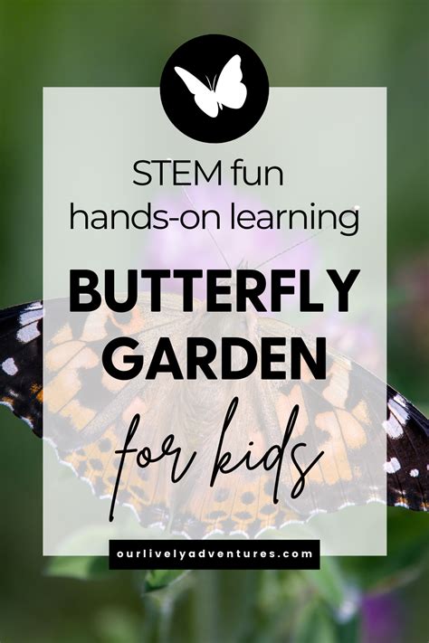 Butterfly Garden For Kids: Watch & Learn How Butterflies Grow - Our Lively Adventures