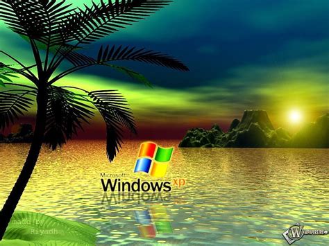 Windows Xp, windows, aurora, palm, technology, sea, HD wallpaper | Peakpx