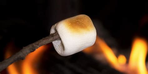 National Toasted Marshmallow Day in 2024/2025 - When, Where, Why, How ...