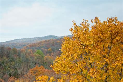 Beautiful Adventure: Fall Foliage Train Ride In Arkansas