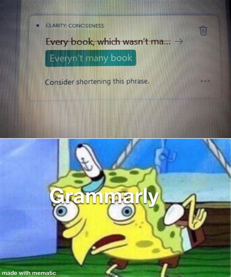 I'm getting grammarly premium stuff this : r/memes