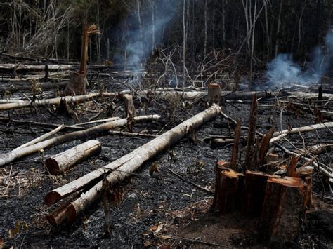 Las fotos del antes y el después del Amazonas para dimensionar los daños que han dejado los ...