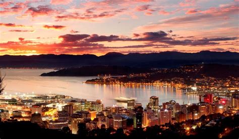 How Wellington is wooing Australian tech talent across the Tasman