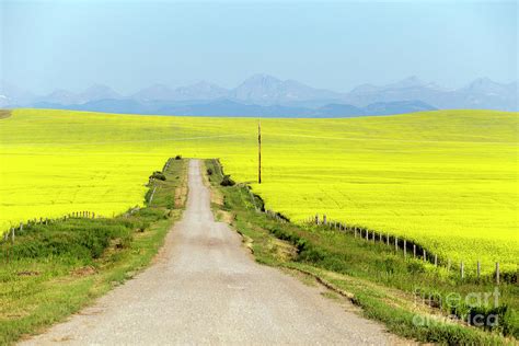 Pincher Creek Alberta Photograph by Kevin Miller | Fine Art America