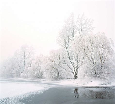 Hoar frost in the Mackenzie Country in South Canterbury in the South Island of New Zealand ...