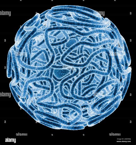 Virus. Artwork showing the surface structure of a virus particle Stock Photo - Alamy