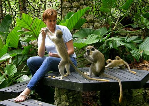 A Bajan Tour Girl Exploring Barbados: The Barbados Wildlife Reserve