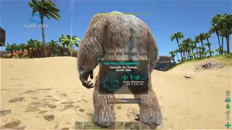 ARK Survival Evolved how to tame Gigantopithecus apes. A Non-violent tame. Recommend using ...