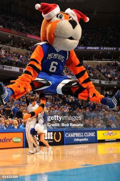 University of Memphis mascot Pouncer on court during game vs... News ...