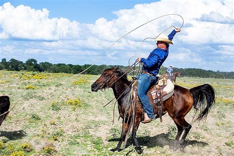 The Cowboy Way: Alabama (2016-)