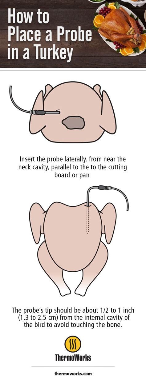 Proper Probe Placement in Your Turkey | Cooking the perfect turkey ...