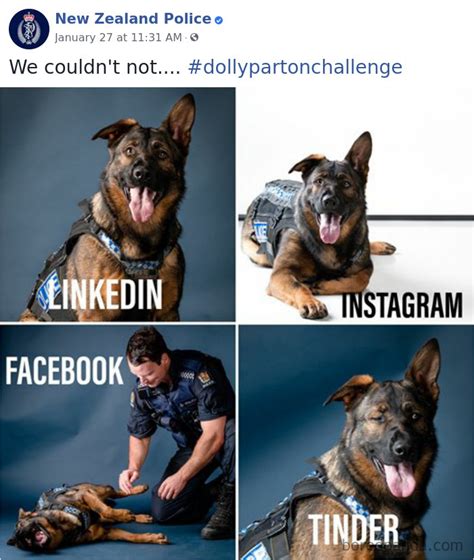 The New Zealand Police Is Winning Over The Internet With Their Adorable And Funny Posts (30 Pics ...