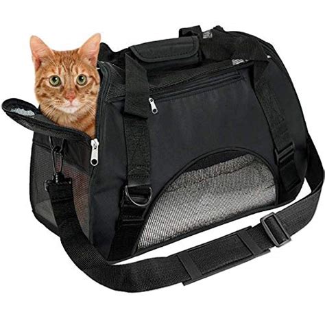 List of Top Ten Best Cardboard Cat Carrier 2023 Reviews