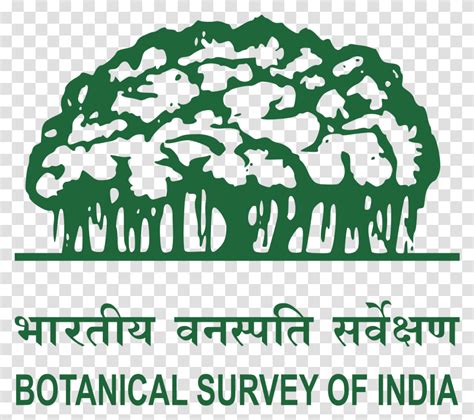 Information About Botanical Survey Of India, Poster, Advertisement, Label Transparent Png ...