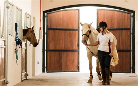 Top Places for Horse Riding Lessons in Dubai for Kids & Adults – MyBayut