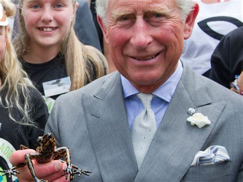 King Charles to undergo surgery for enlarged prostate | Toronto Sun