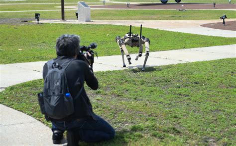 This robotic military dog now has a gun on board | Popular Science