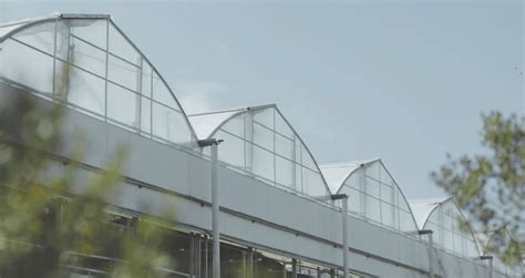 Project in the spotlight : A modern greenhouse for growing cannabis ...