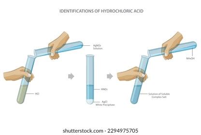 10 Magnesium Hydrochloric Acid Images, Stock Photos & Vectors ...