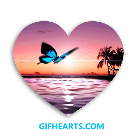 Butterfly sunset Beach GIF HEARTS by butterflyFashion on DeviantArt