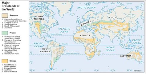 Map/Still:The three types of grasslands of the world are prairie, steppe, and savanna. Little of ...