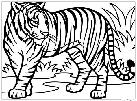 Coloriage Tigre Sauvage Dans La Nature Dessin Tigre à imprimer
