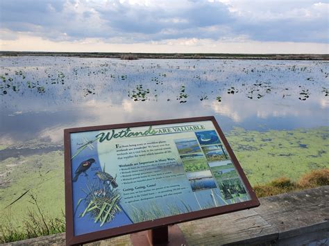 Anahuac National Wildlife Refuge | Jurassic James