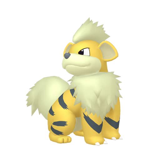 Growlithe (Pokémon GO): Best Movesets, Stats, Counters, Weaknesses