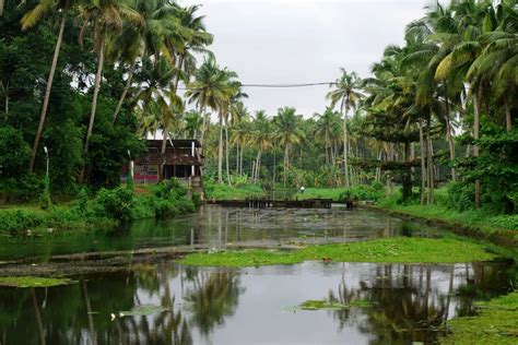 Beautiful village in Kerala | Smithsonian Photo Contest | Smithsonian Magazine