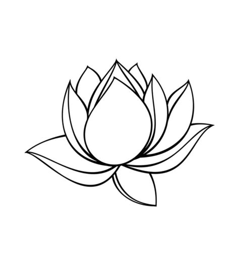 Lotus Flower Outline Drawing