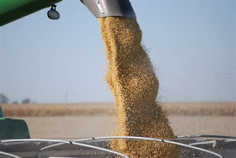 Soybean Harvest | If used, credit must be given to the Unite… | Flickr