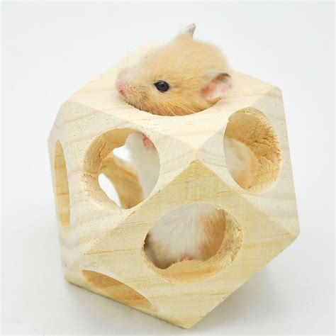 15 best images about Hamster Toys on Pinterest | Hamsters, Oasis and ...