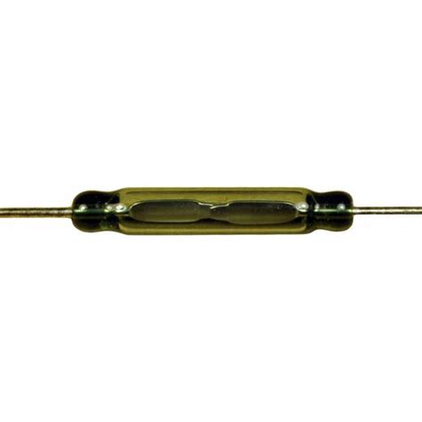 Dallee Electronics > Electrical Components > switches > Reed Switch (2/pk)