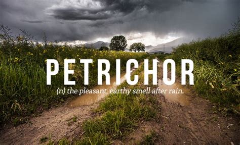 These Are The 32 Most Beautiful Words In The English Language (32 pics)