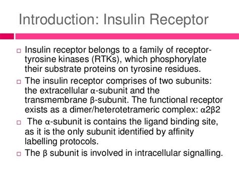 Insulin receptor and mechanism of signalling