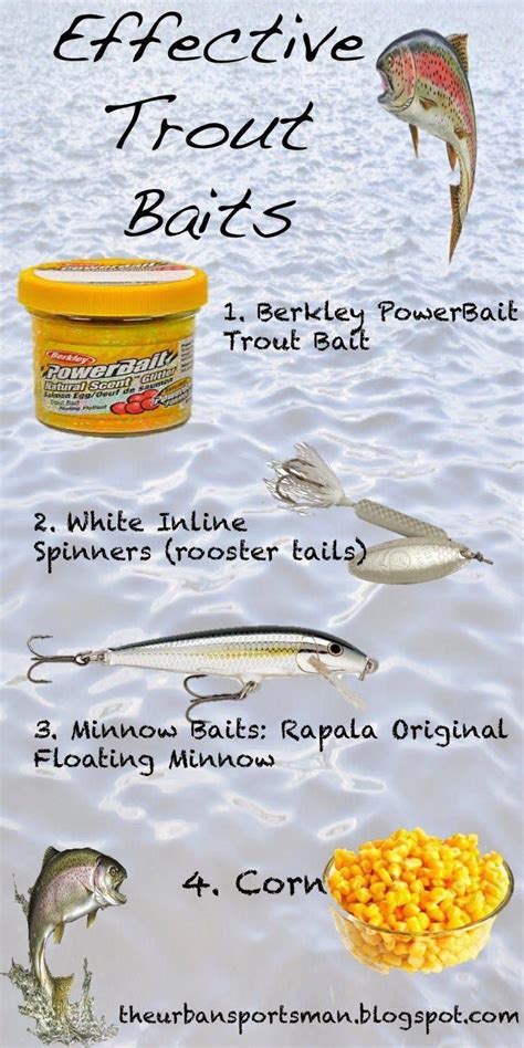 Check out these trout fishing tips 1782 #troutfishingtips | Trout bait ...