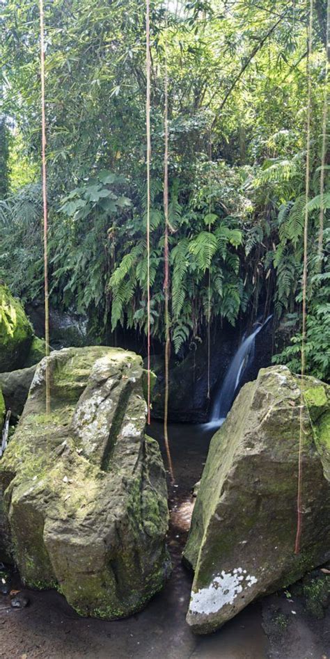 In the Daintree National Park waterfalls will fall over a small edge or ...