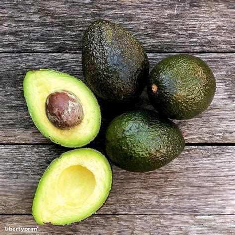 Avocado Hass Mexico Wholesaler - agroterra | Libertyprim